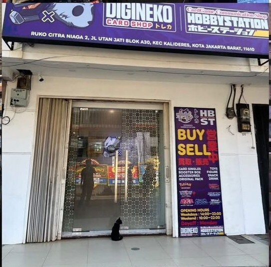 Digineko1